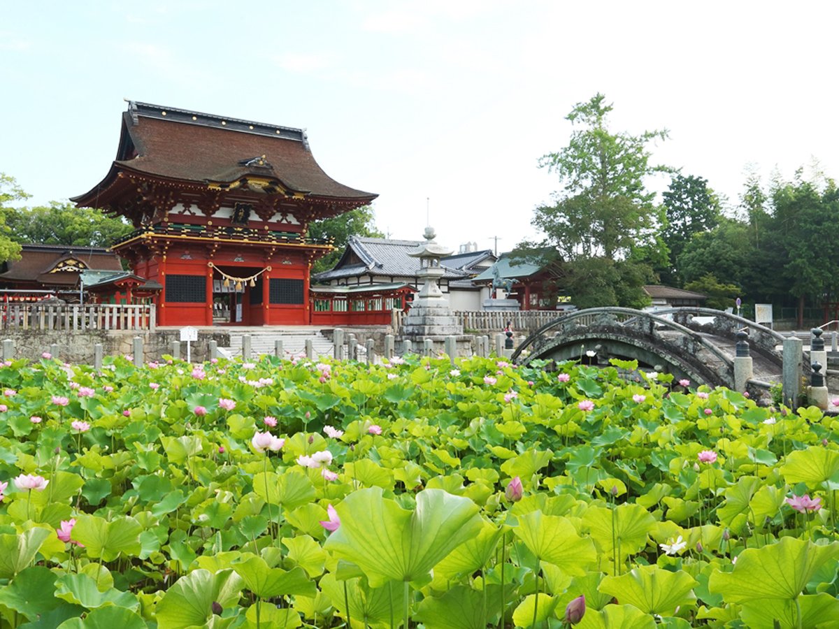⛩️ 이가 하치만 신사(이가 하치만구) 이미지 1
